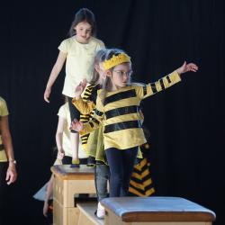 Hanisch Hpmodsc09866