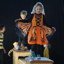 Hanisch Hpmodsc09878