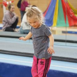 Hanisch Hpmodsc02301