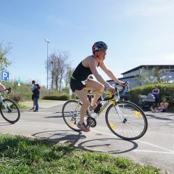 Hanisch Hpmodsc01375