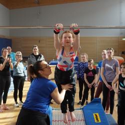 Hp Hanisch Modsc01112